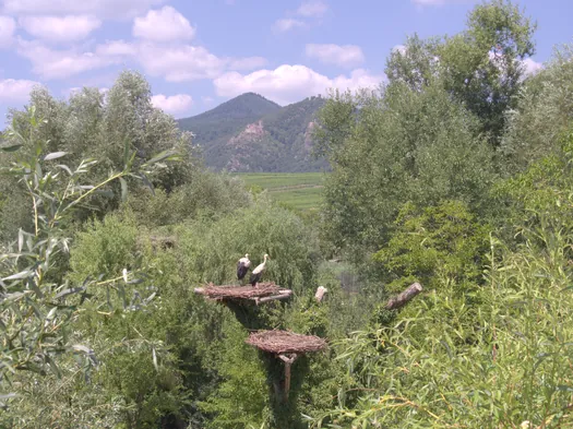 NaturOparC Hunawihr, Alsace (France)